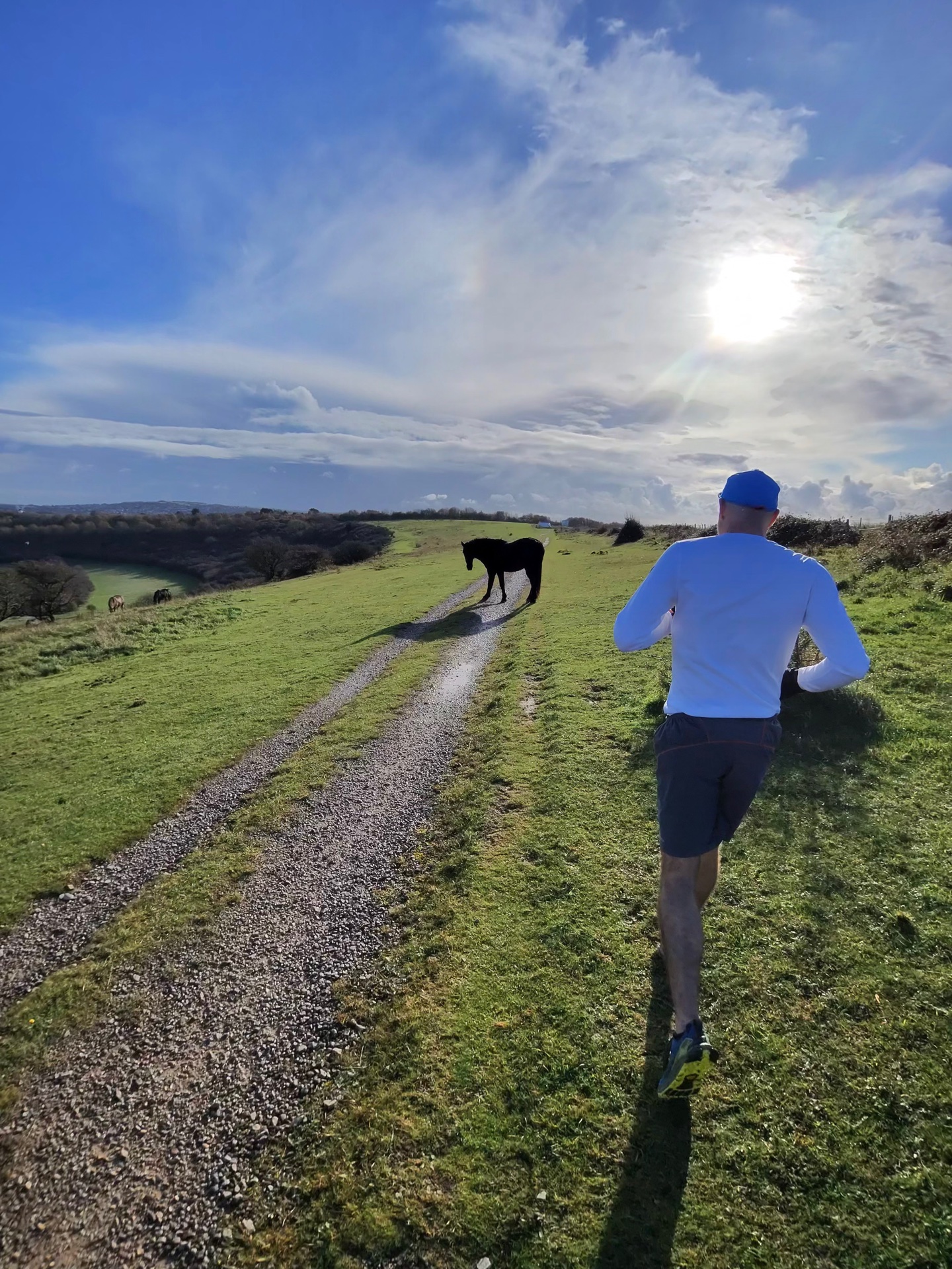 Sunday Trail Run